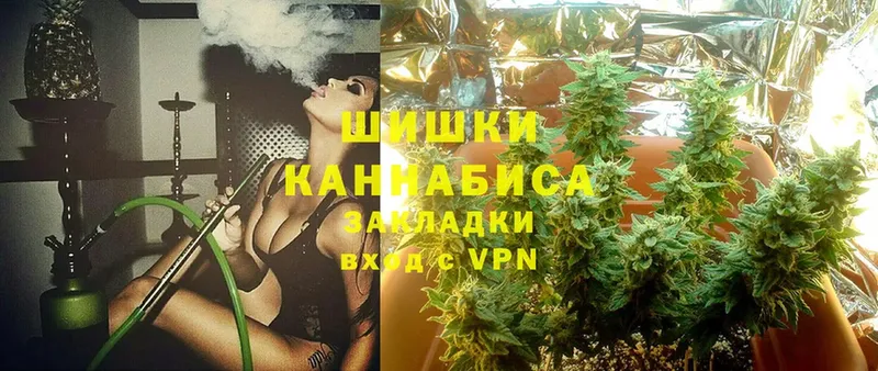 Канабис SATIVA & INDICA  продажа наркотиков  мориарти как зайти  Тара 